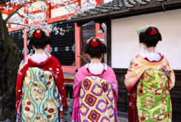 Japan_Sakura_2025 (7/79)